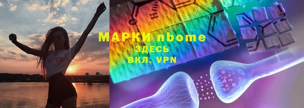СК Алексин