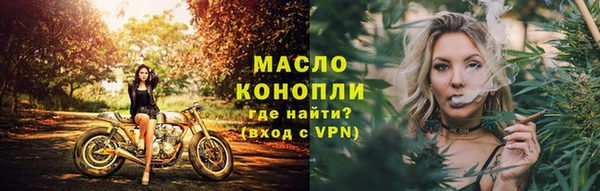 СК Алексин