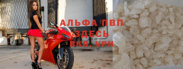 СК Алексин
